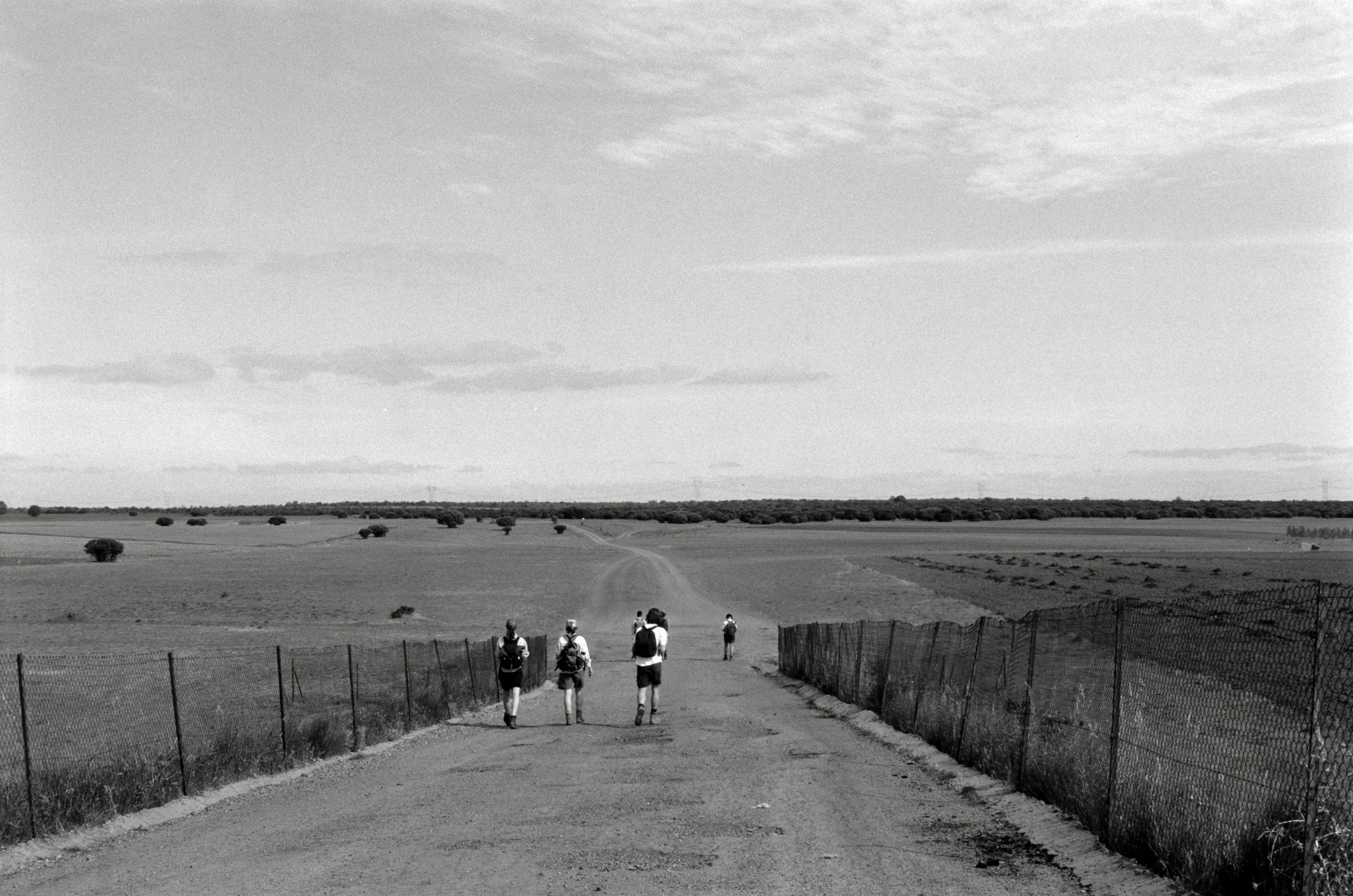 AHP F1995 05 009 sc240826 img05 NLP